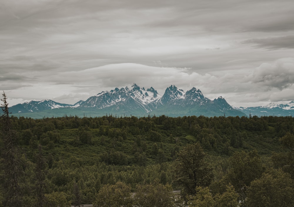 a view of a mountain range with trees in the foreground