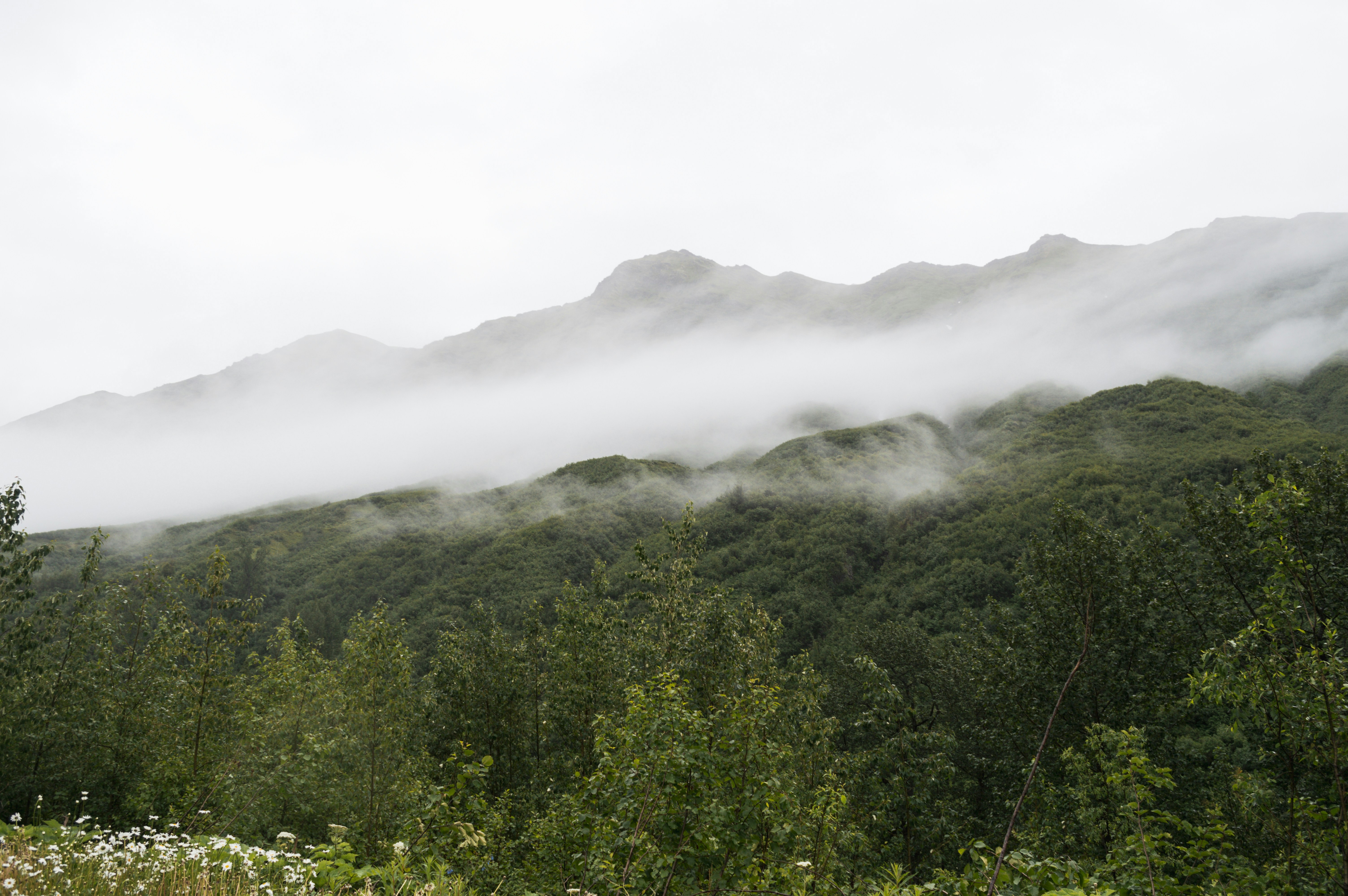 Wrangell