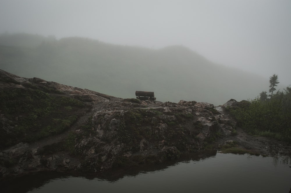 a cow is standing on a rocky hill by a body of water