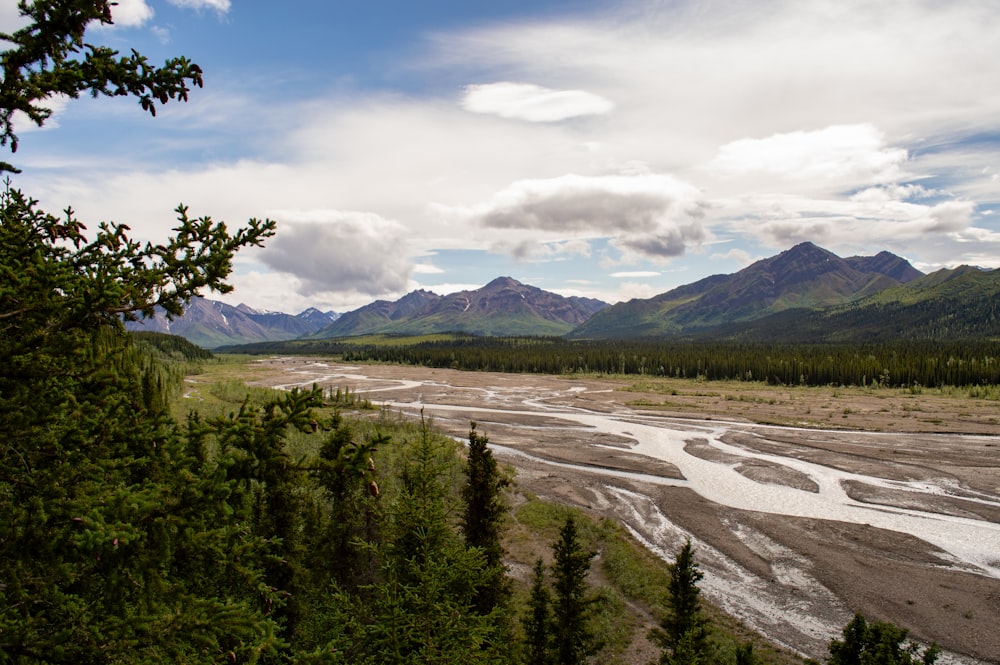 Un río que atraviesa un frondoso bosque verde