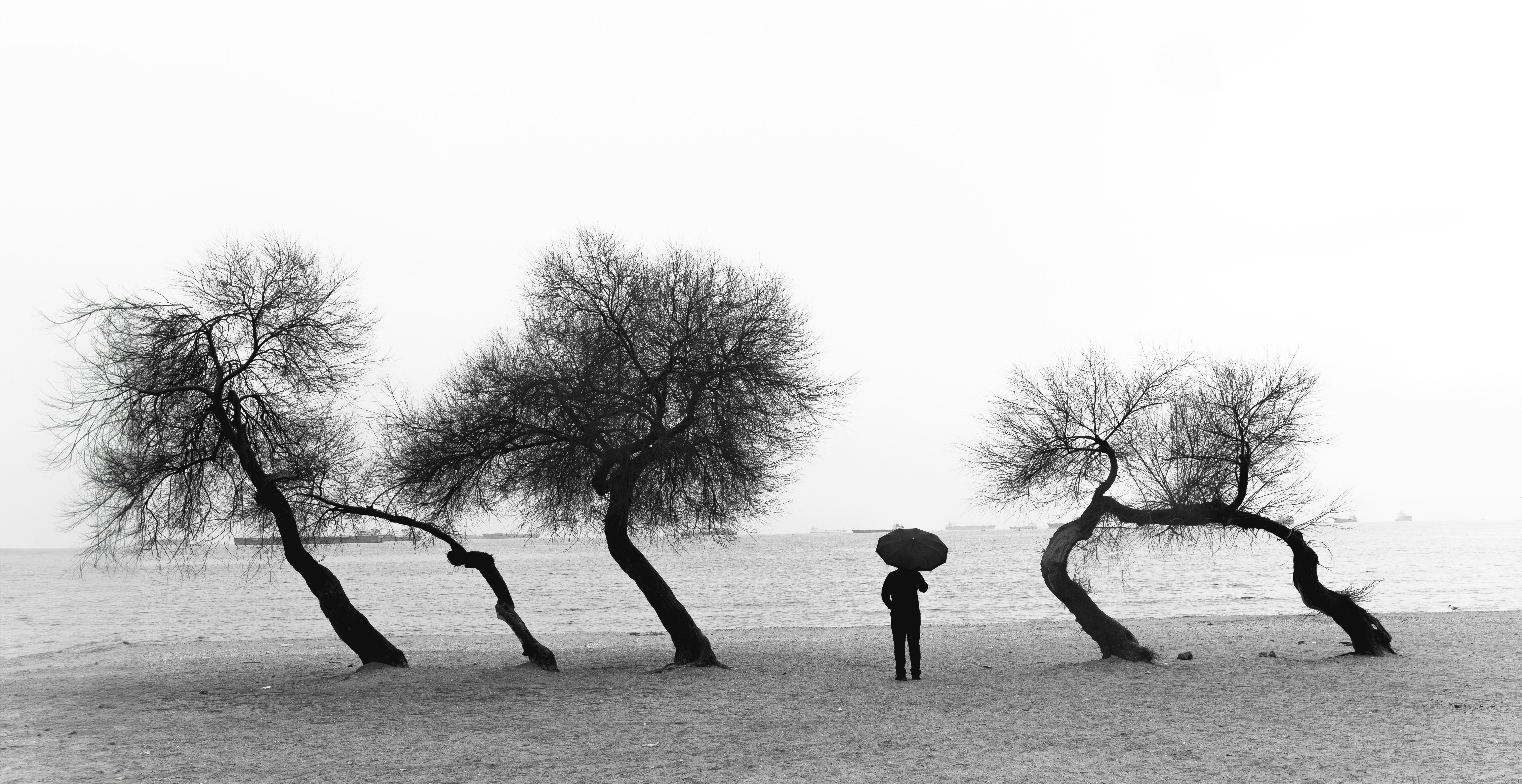 Photo by furkanelveren