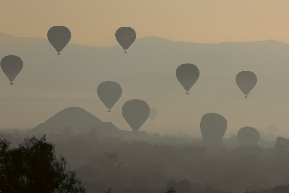 Eine Gruppe von Heißluftballons, die am Himmel fliegen