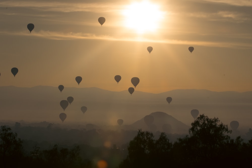 un groupe de montgolfières volant dans le ciel