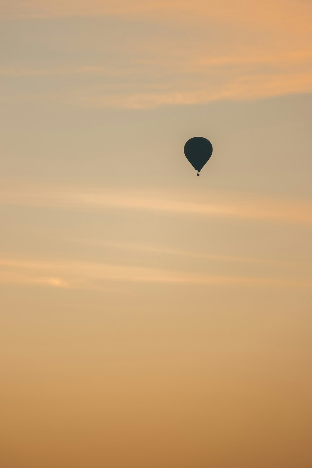 a hot air balloon flying in the sky