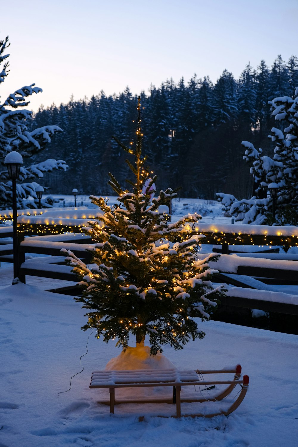 Uma pequena árvore de Natal é iluminada na neve