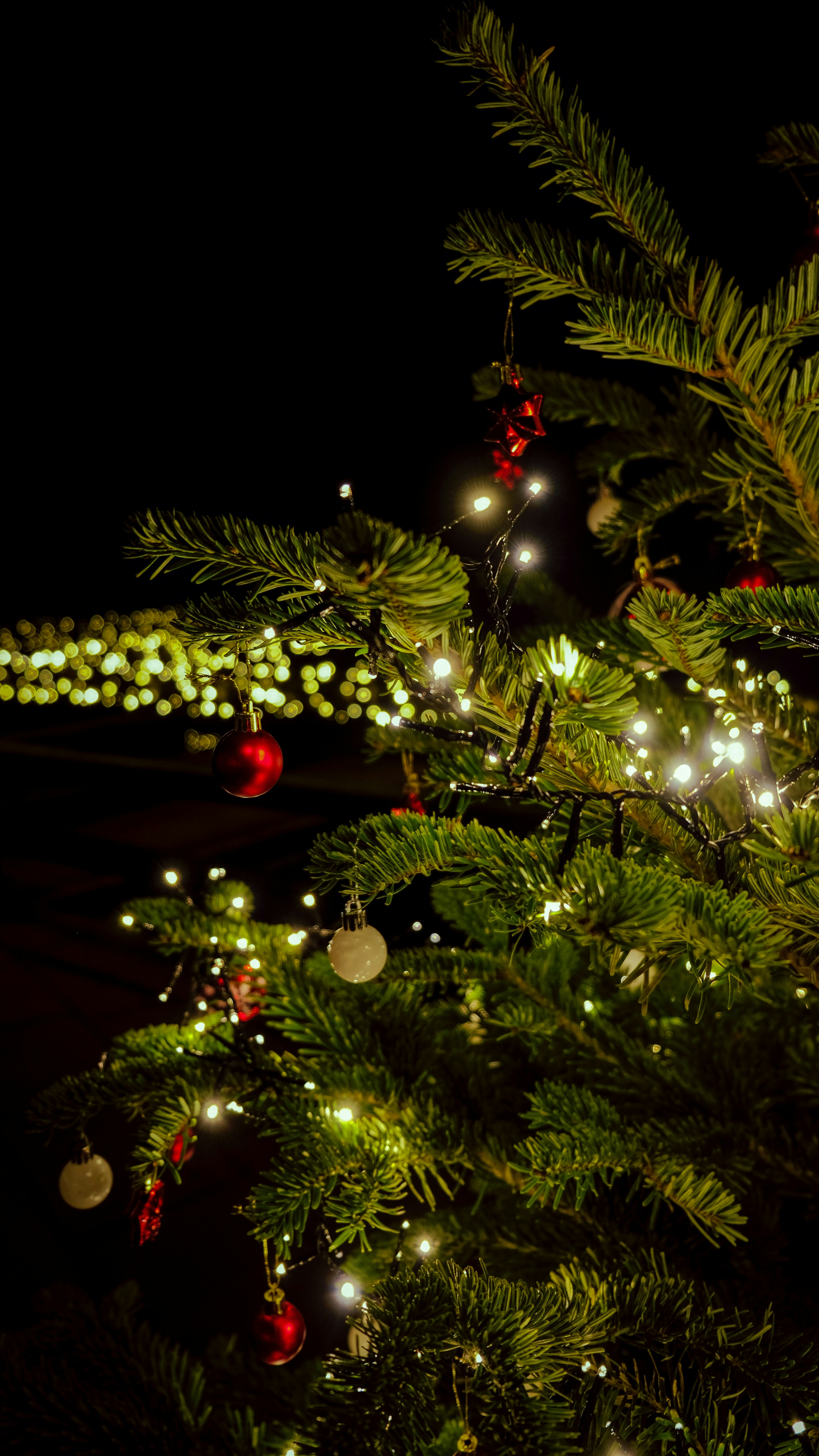 Photo by denisaficau