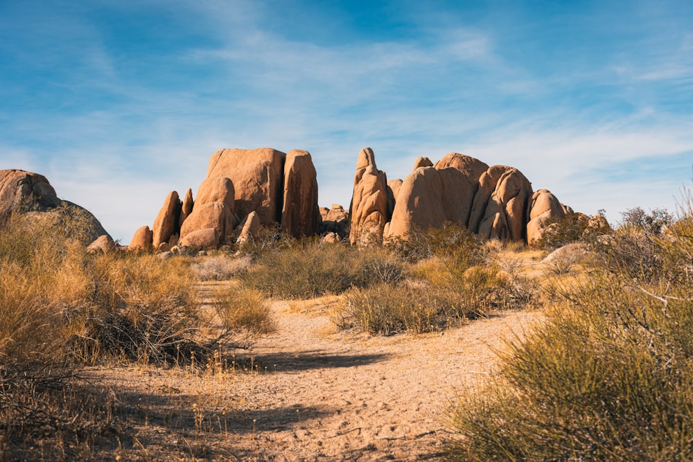 a dirt path in the middle of a desert