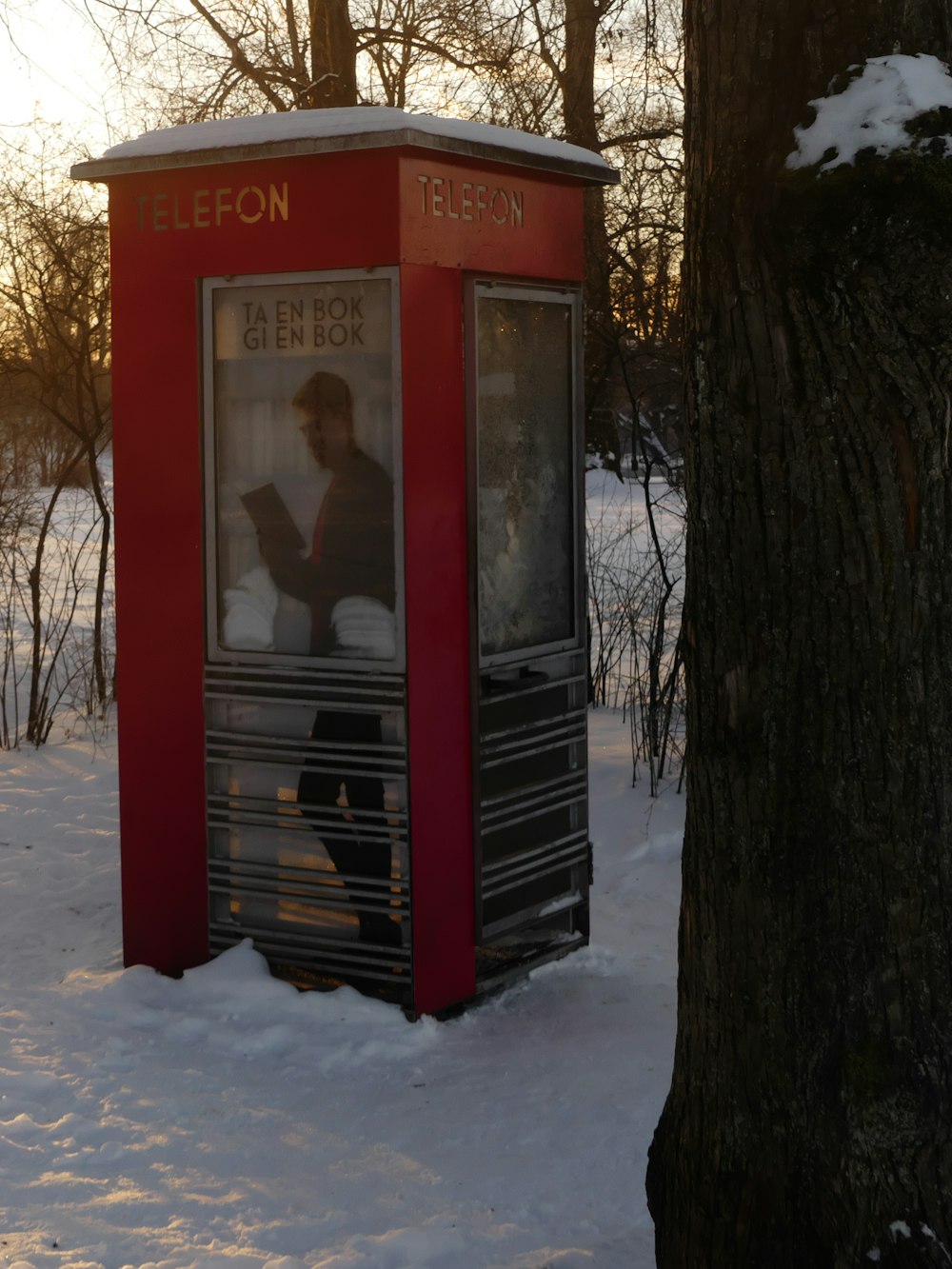 a red phone booth sitting next to a tree in the snow
