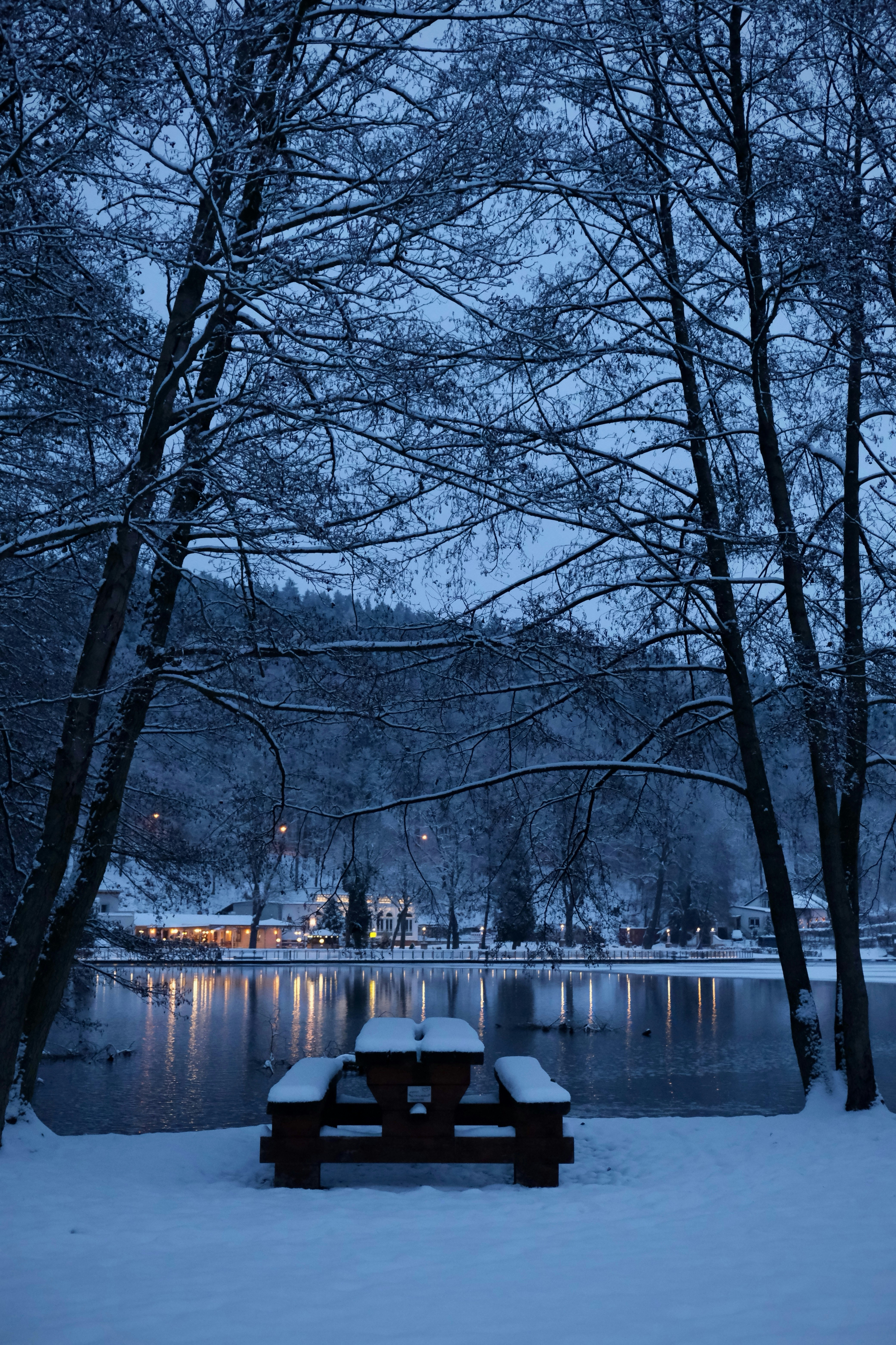Park Bench Snow
