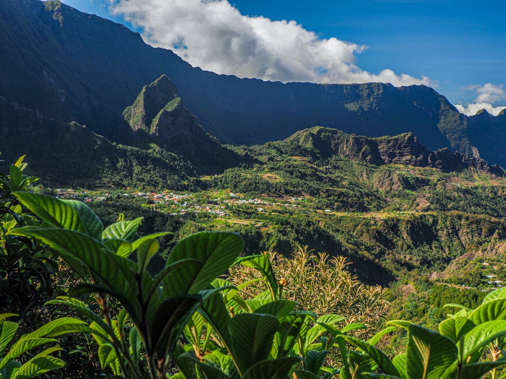 a lush green valley surrounded by mountains under a blue sky