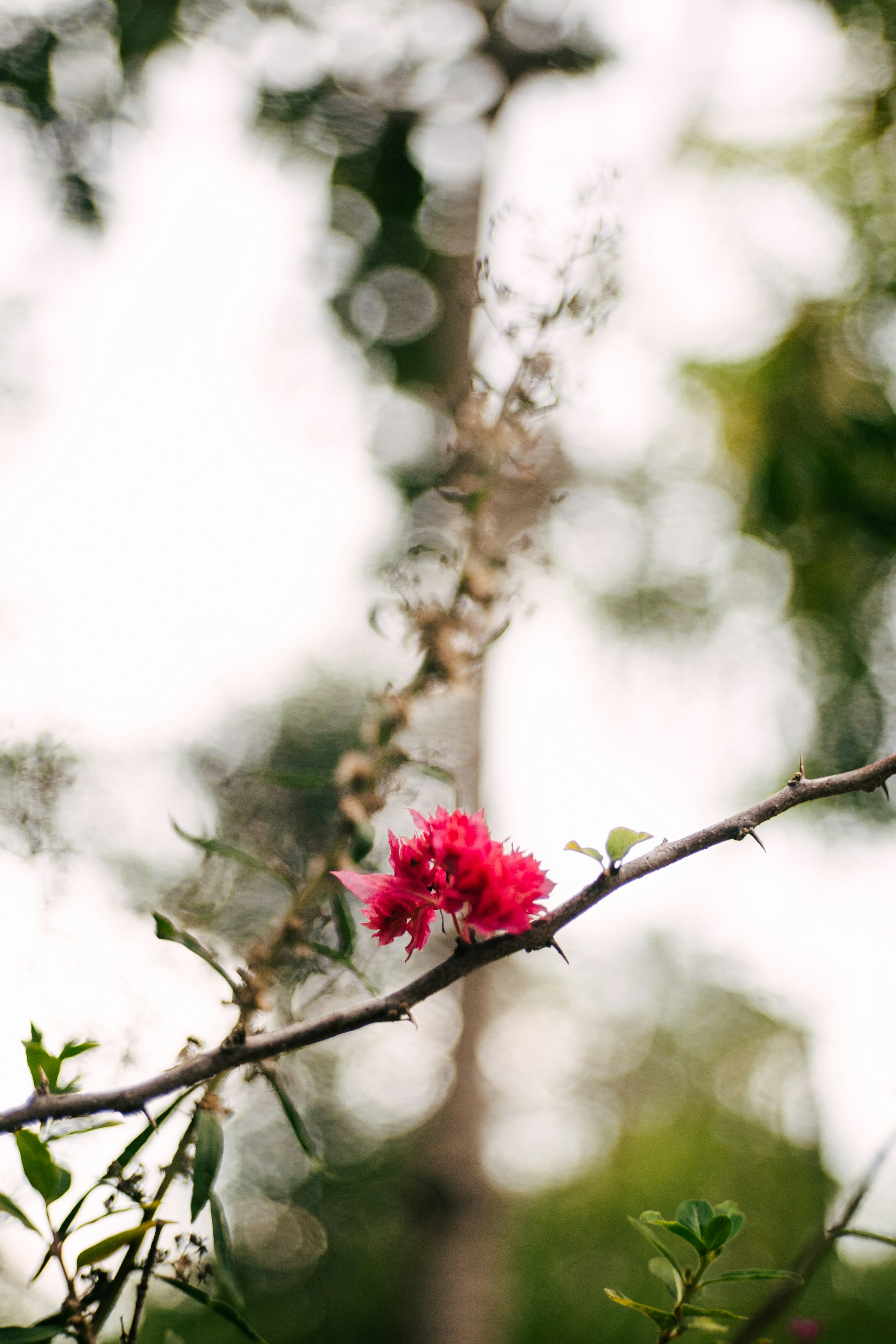 Photo by lii_raw