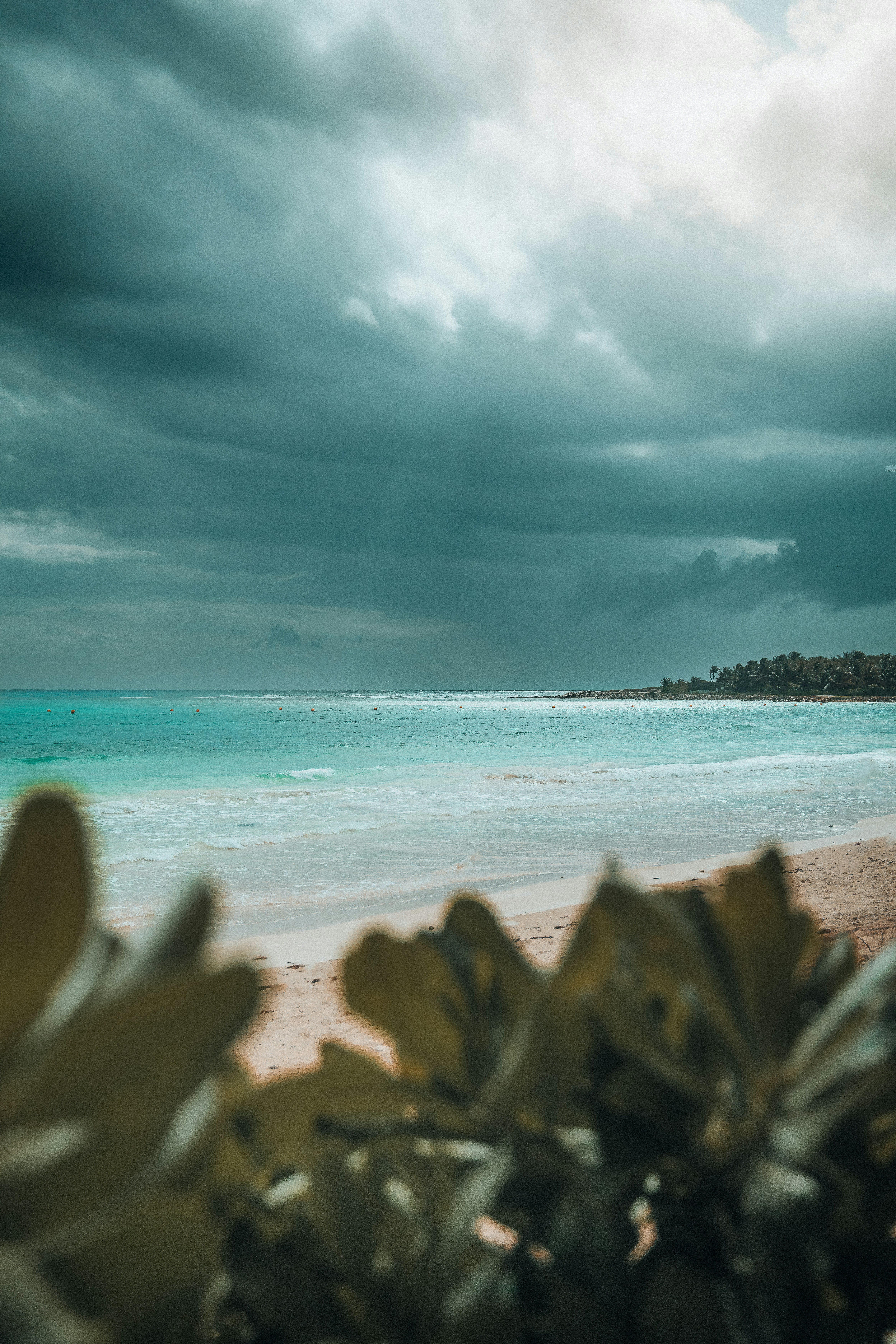 Photo by aessuproduction