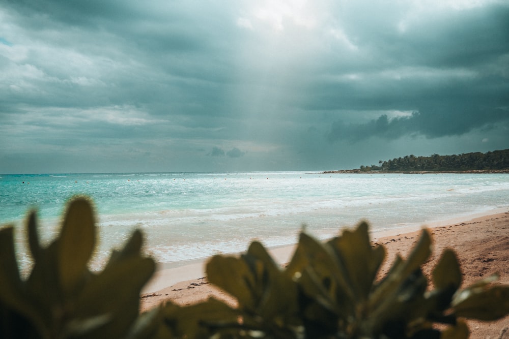 a beach with a body of water under a cloudy sky