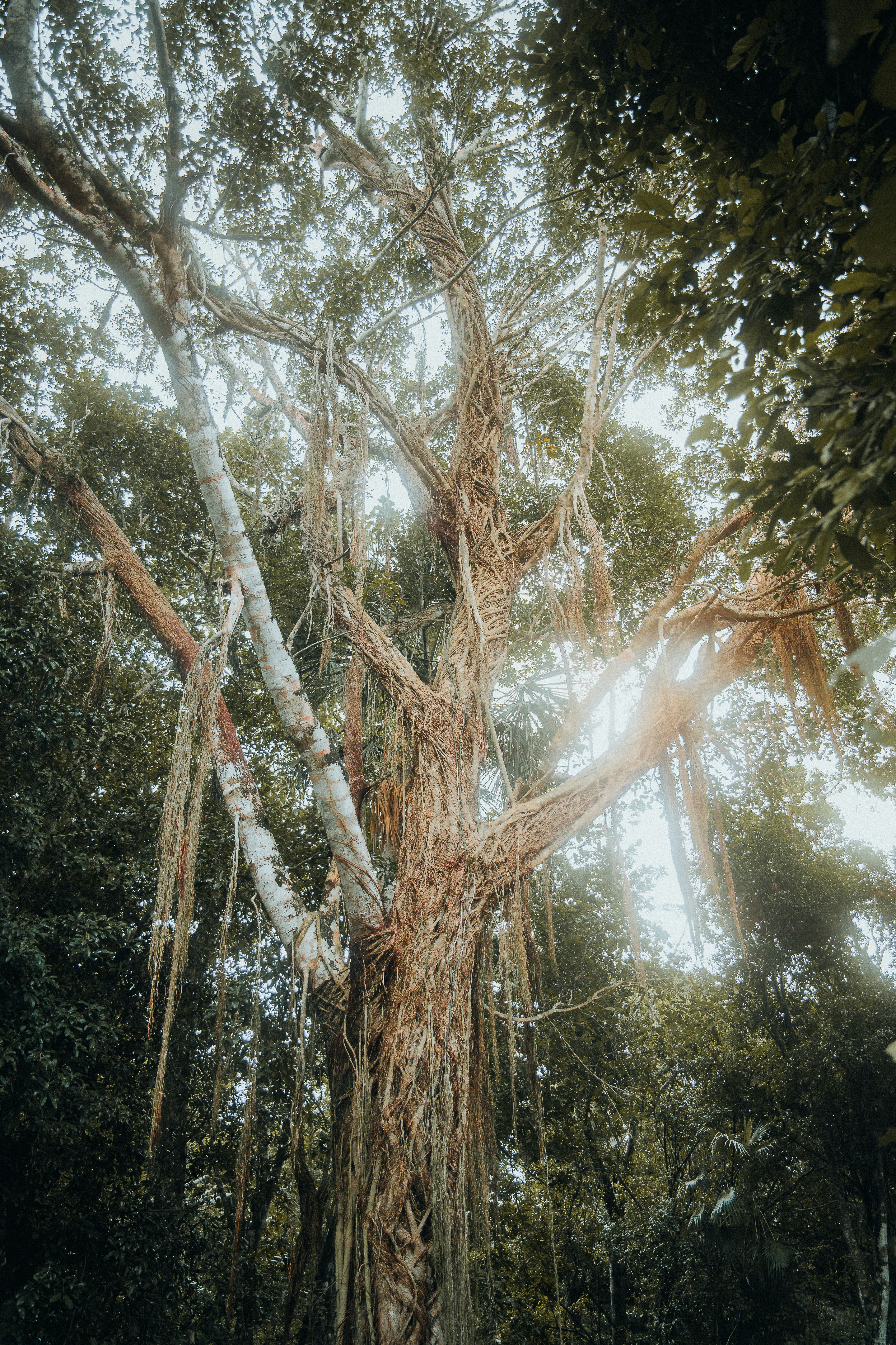 Photo by aessuproduction