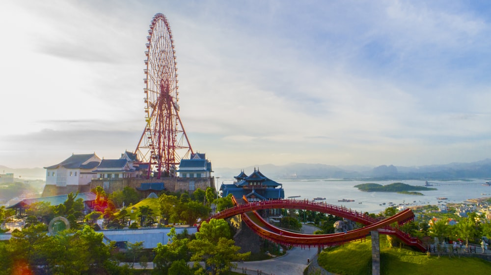 a roller coaster in the middle of a park