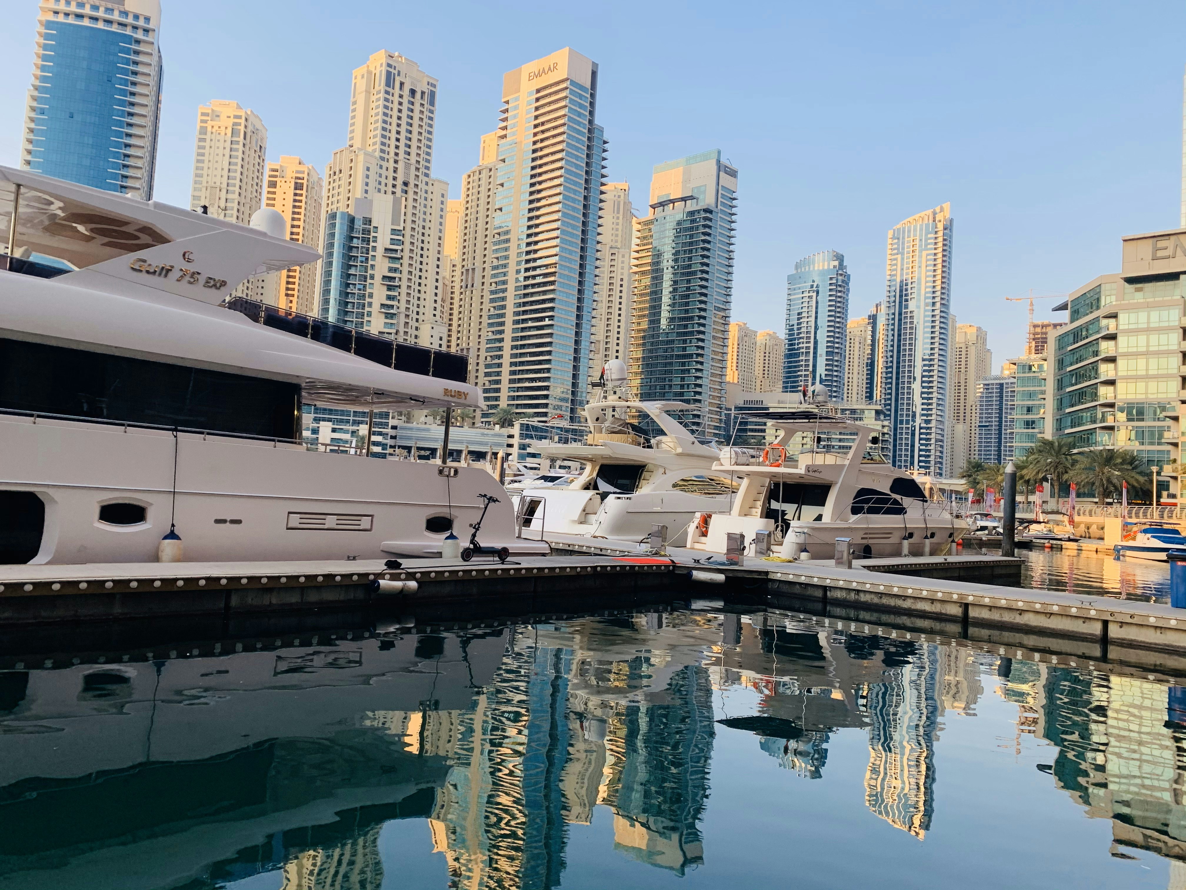 a group of boats docked at a marina