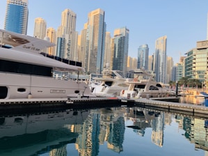 a group of boats docked at a marina