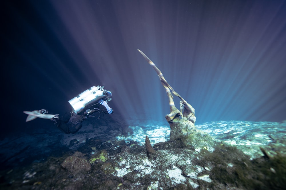 a scuba diver swims over a coral reef