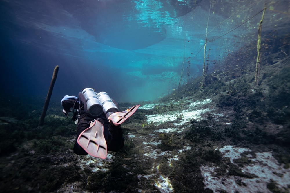 a person in a wet suit diving in the water