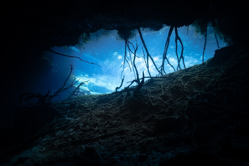 a cave filled with water and trees under a blue sky