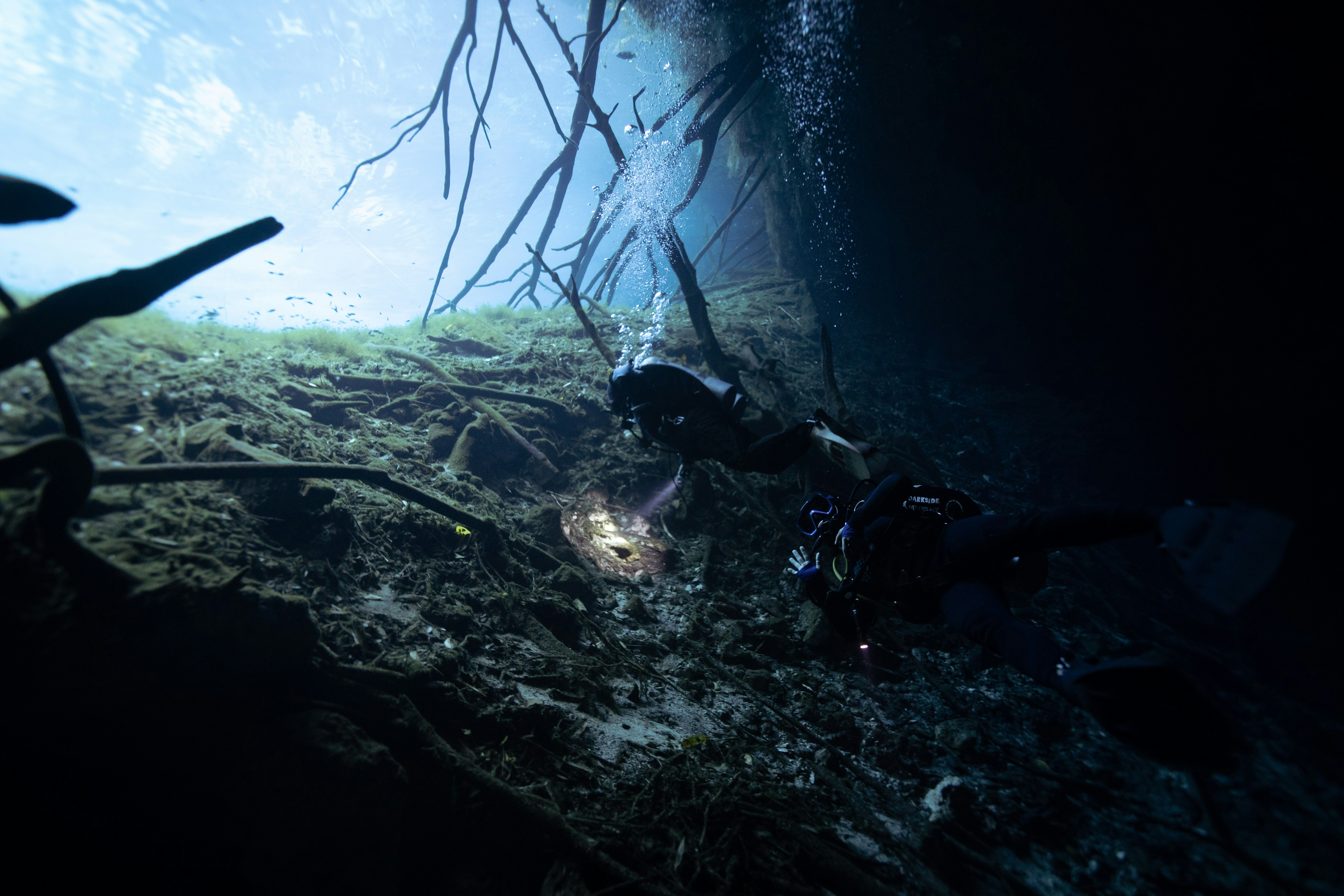 a scuba in the deep water looking at something