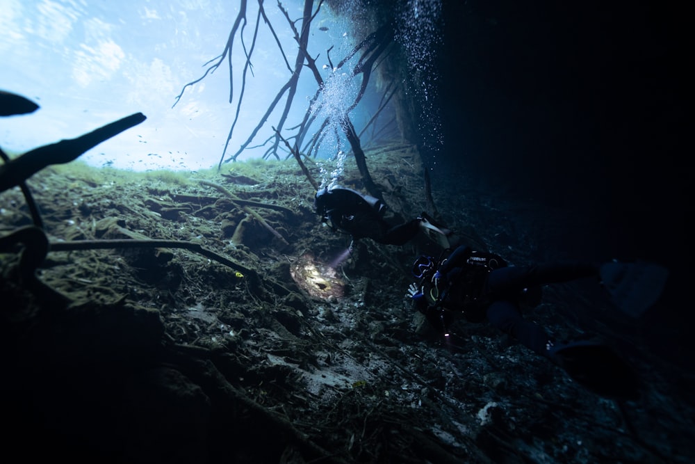 a scuba in the deep water looking at something