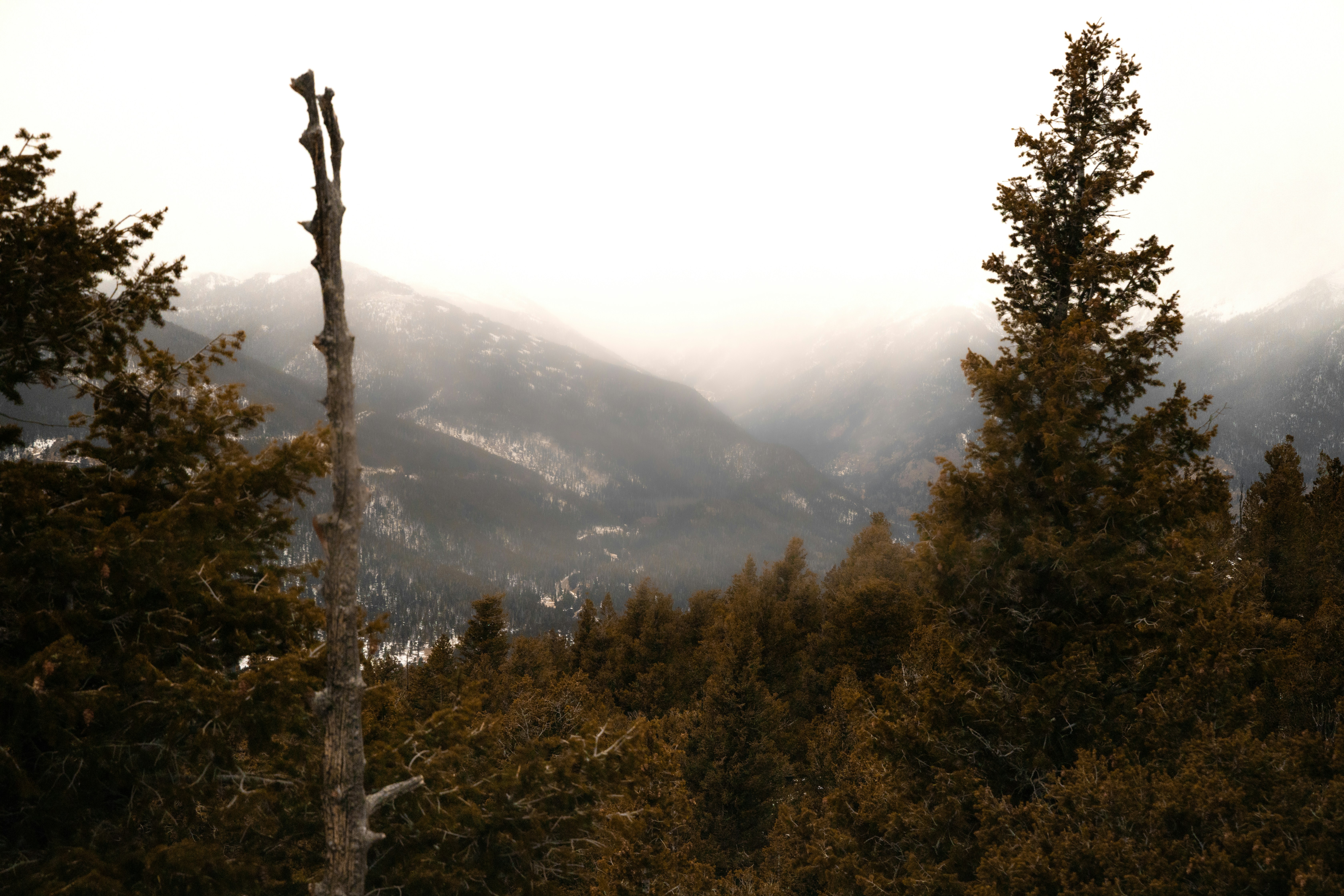 Photo by ldpeterson11