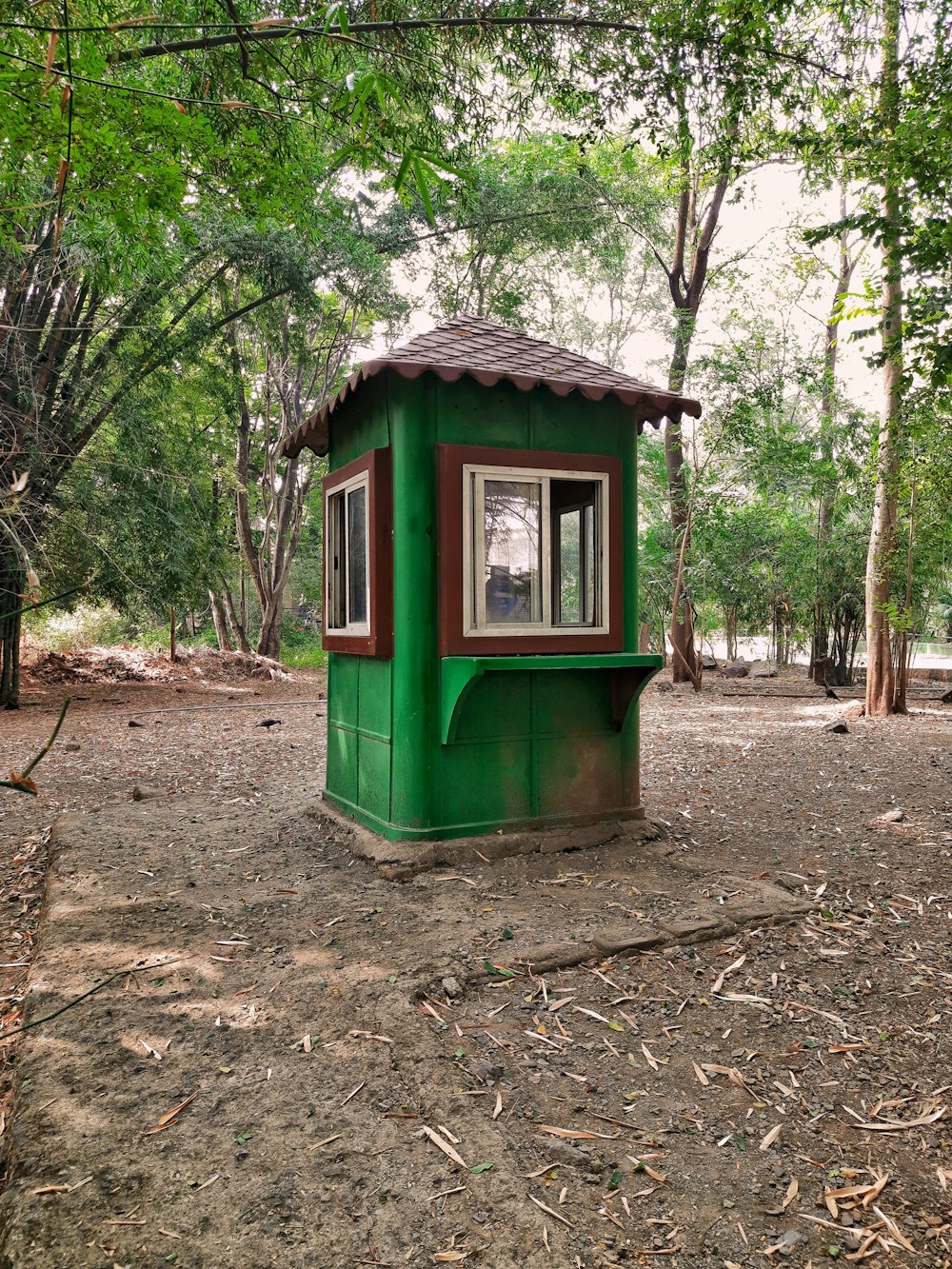 a small green building in the middle of a forest