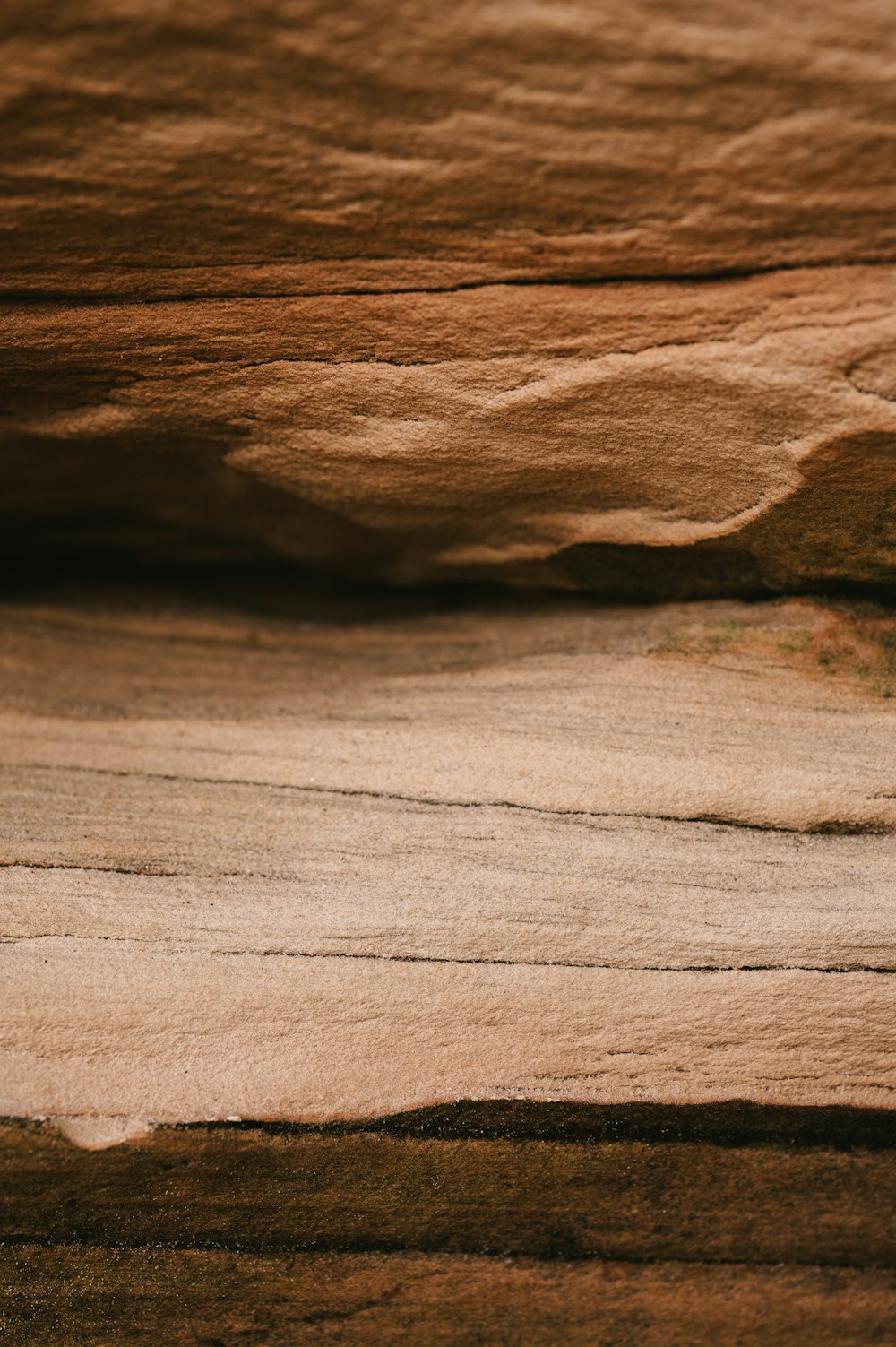 a bird is standing on a rock in the desert