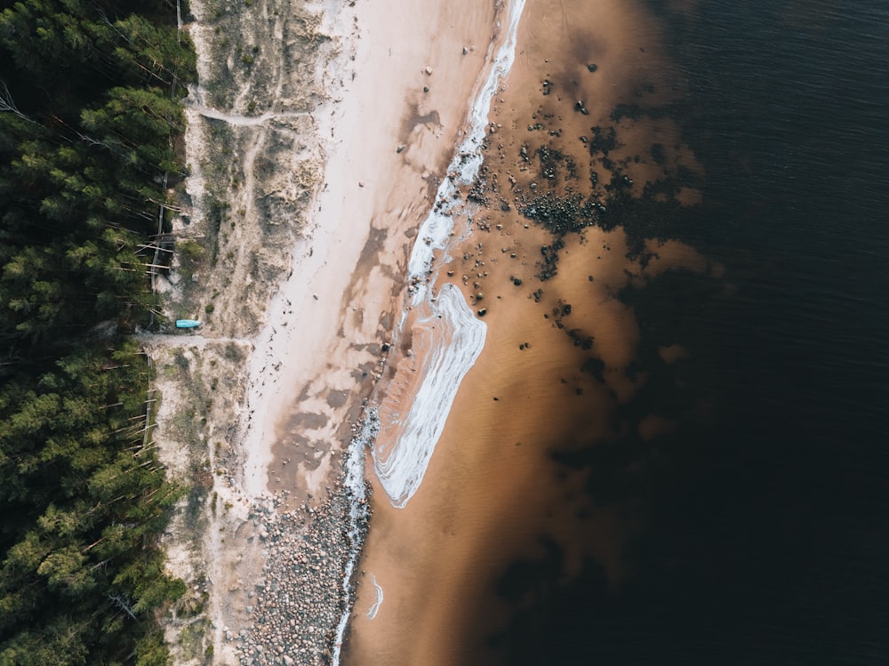 an aerial view of a sandy beach and trees