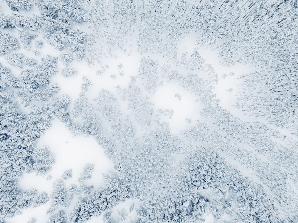 an aerial view of a snow covered field