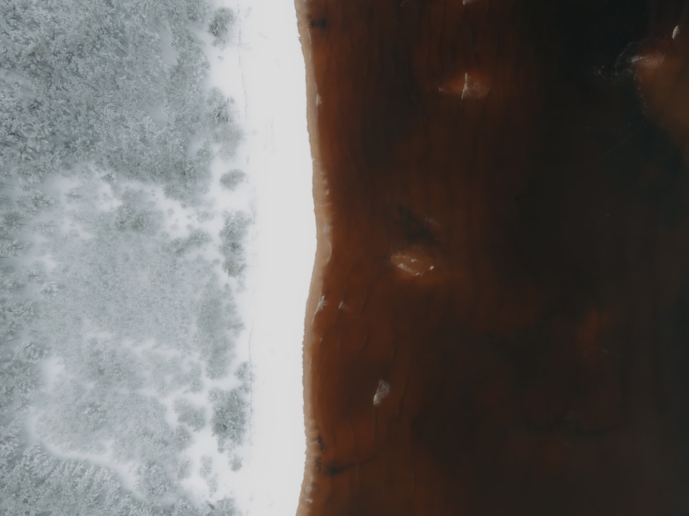 a close up of a person's bare stomach in the water