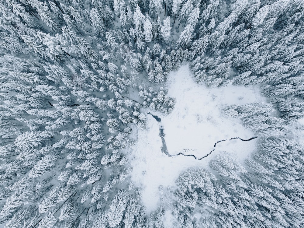 an aerial view of a snow covered forest