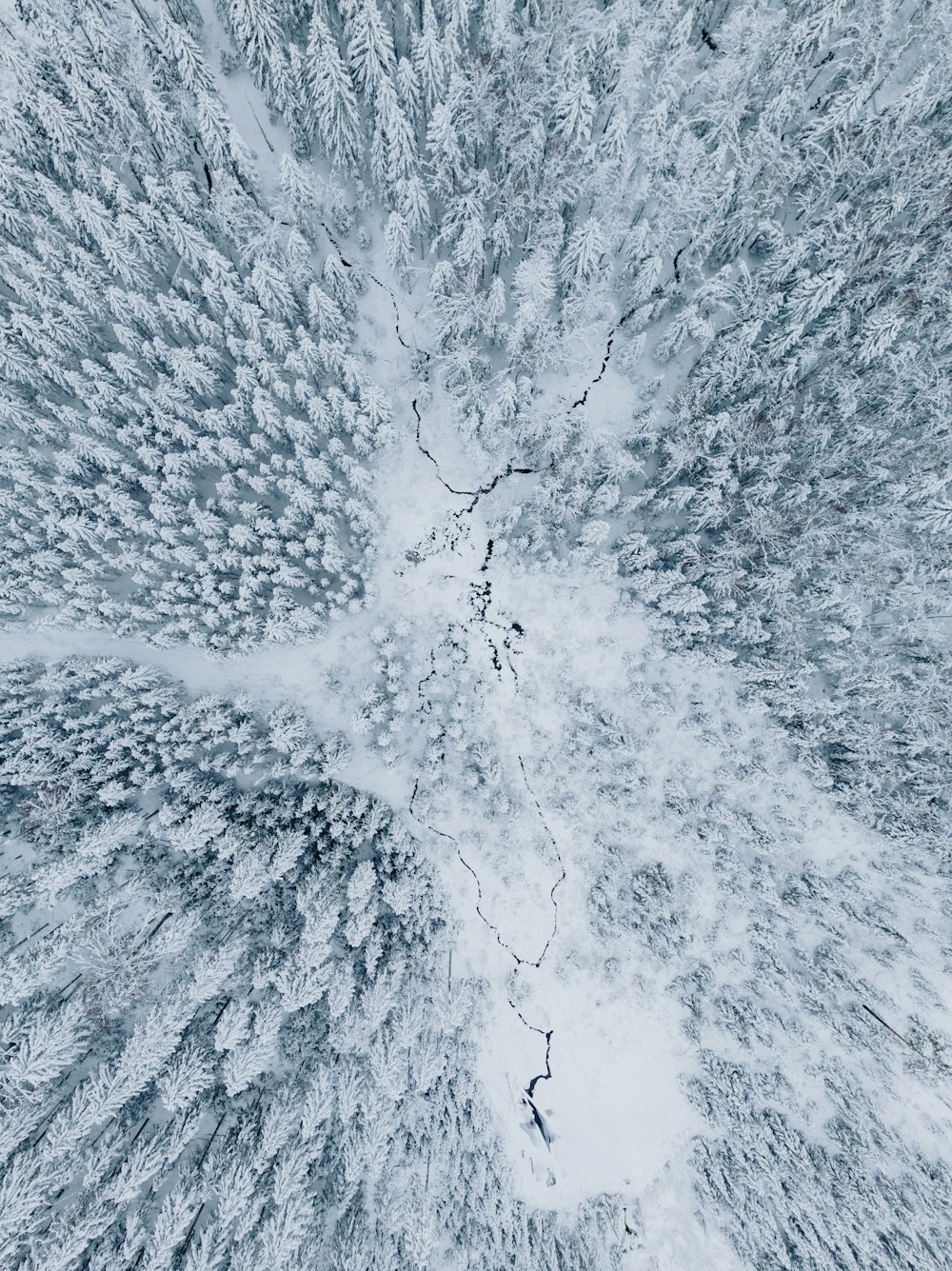 an aerial view of a snow covered forest