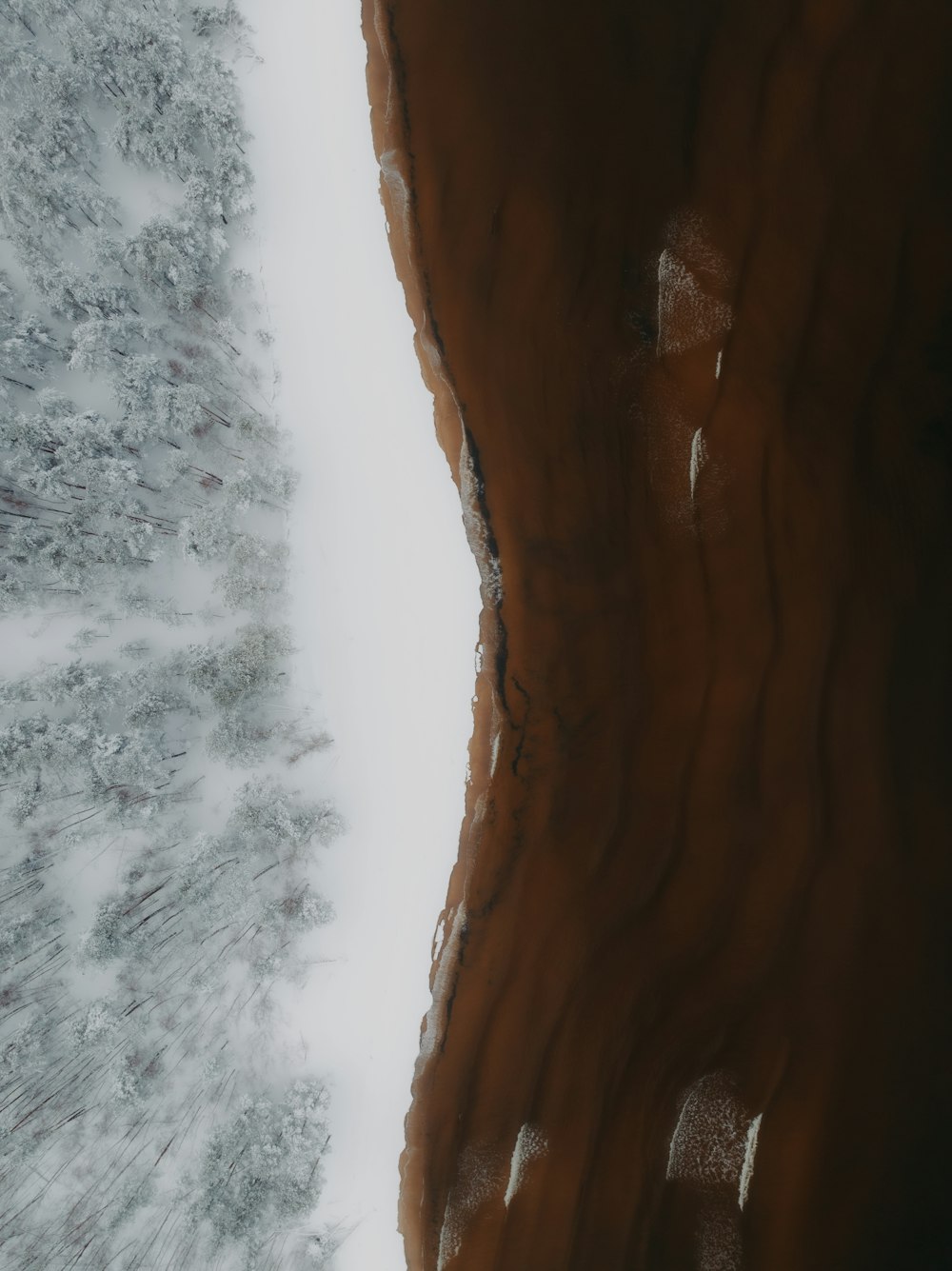 an aerial view of a snow covered forest