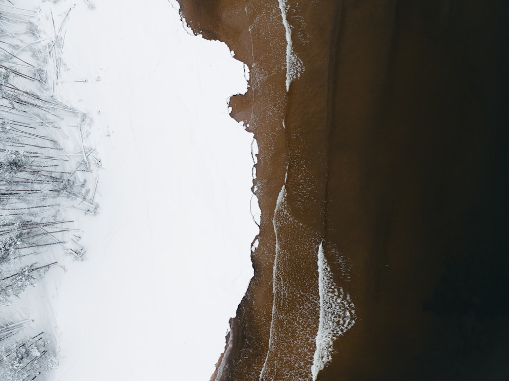 an aerial view of a beach and a body of water