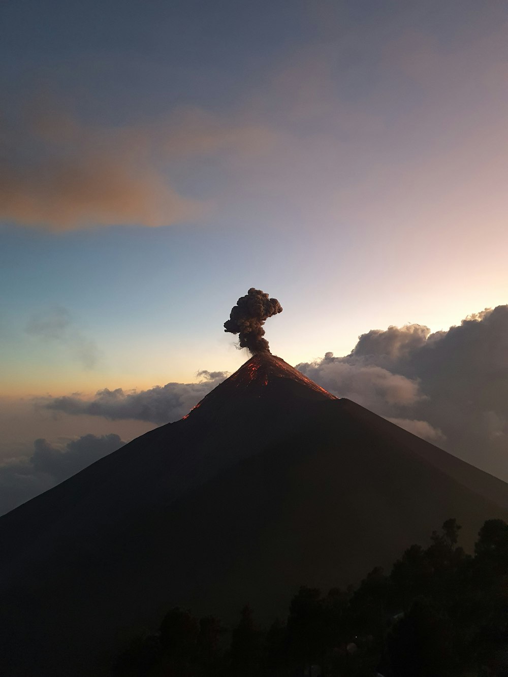 a tree on top of a mountain with a sunset in the background