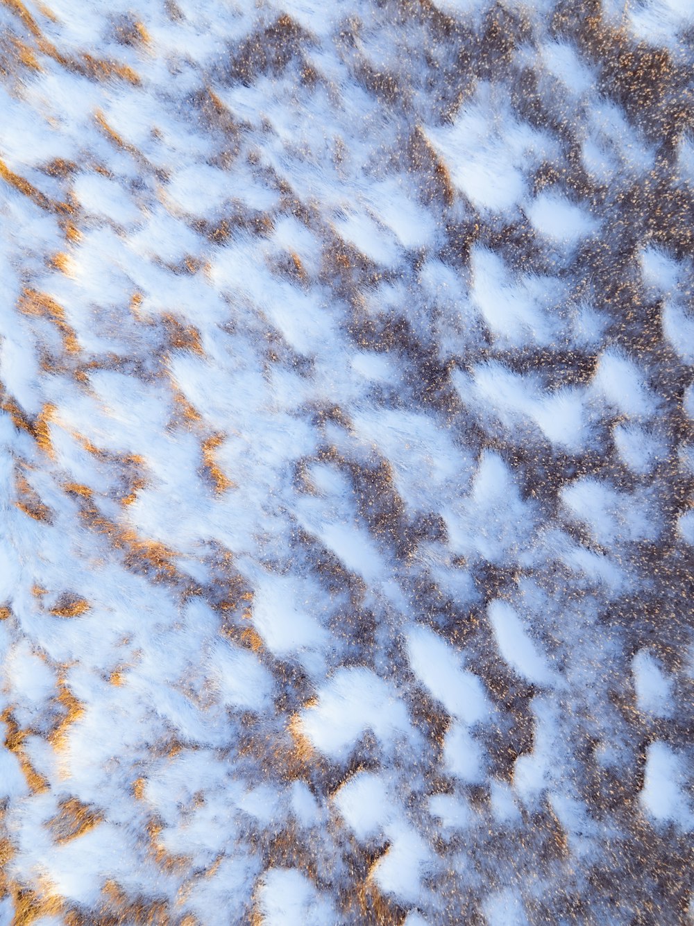 a close up view of a snow covered ground