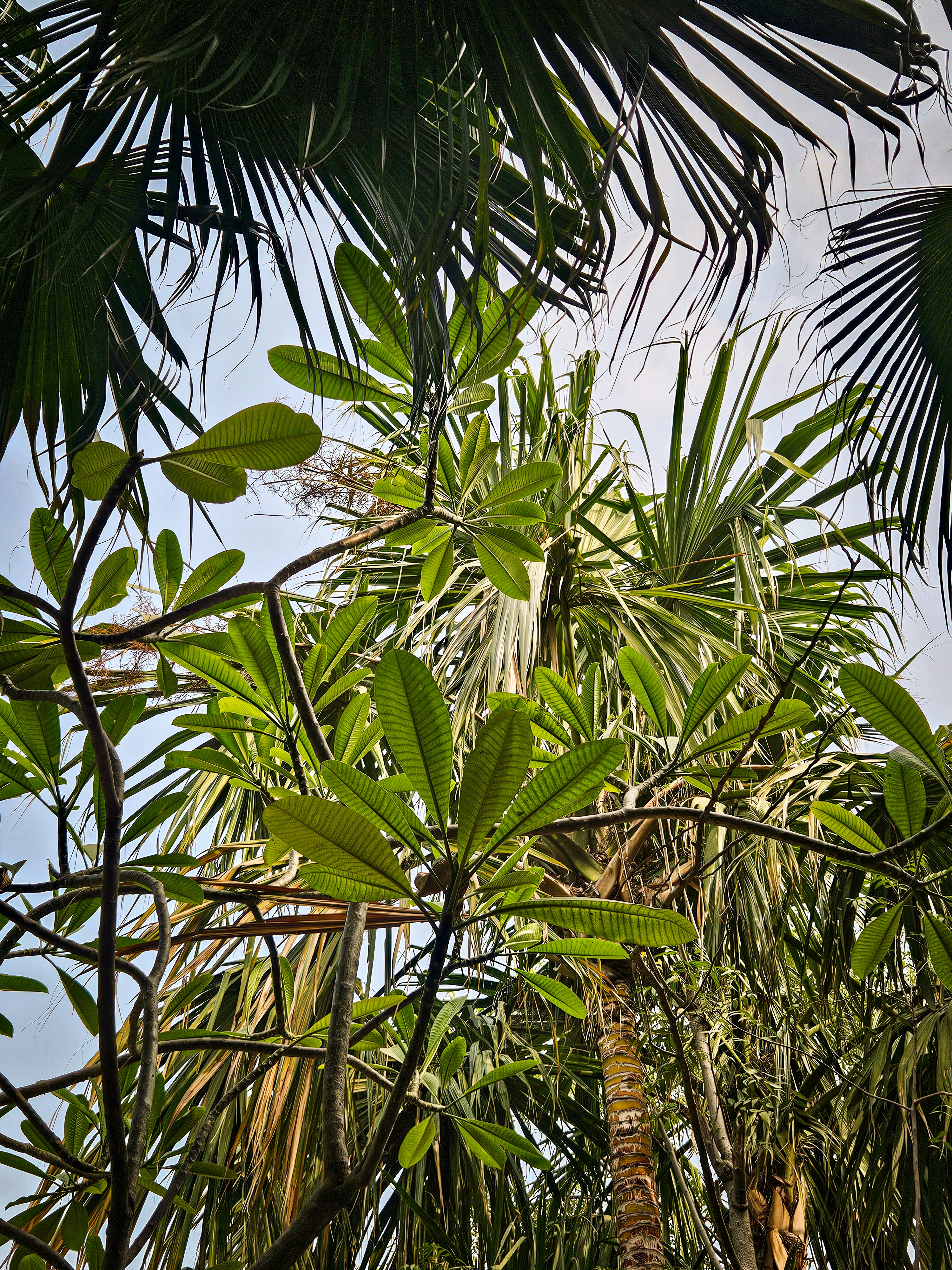 Photo by shridutt_02