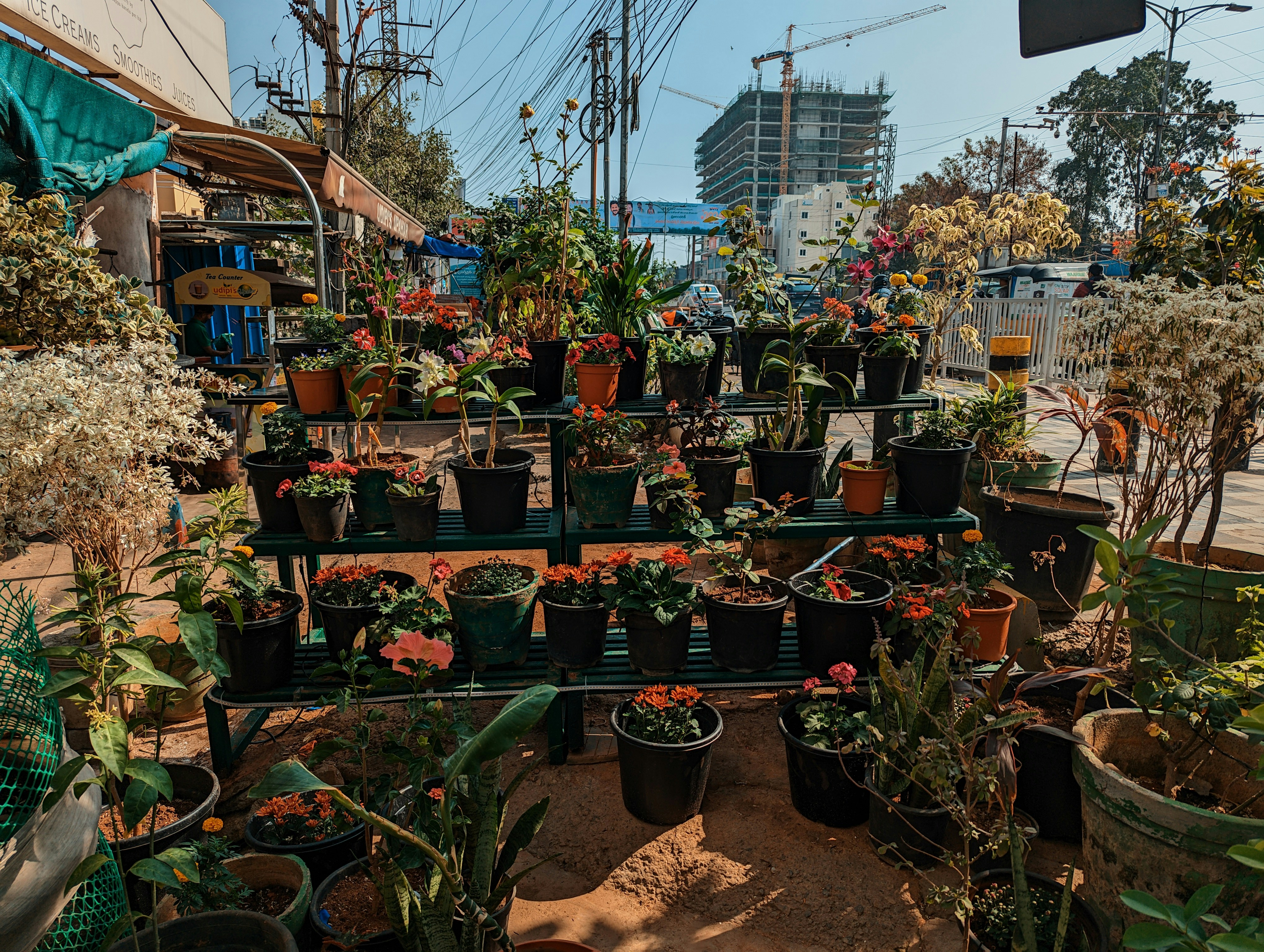 a bunch of potted plants on a table