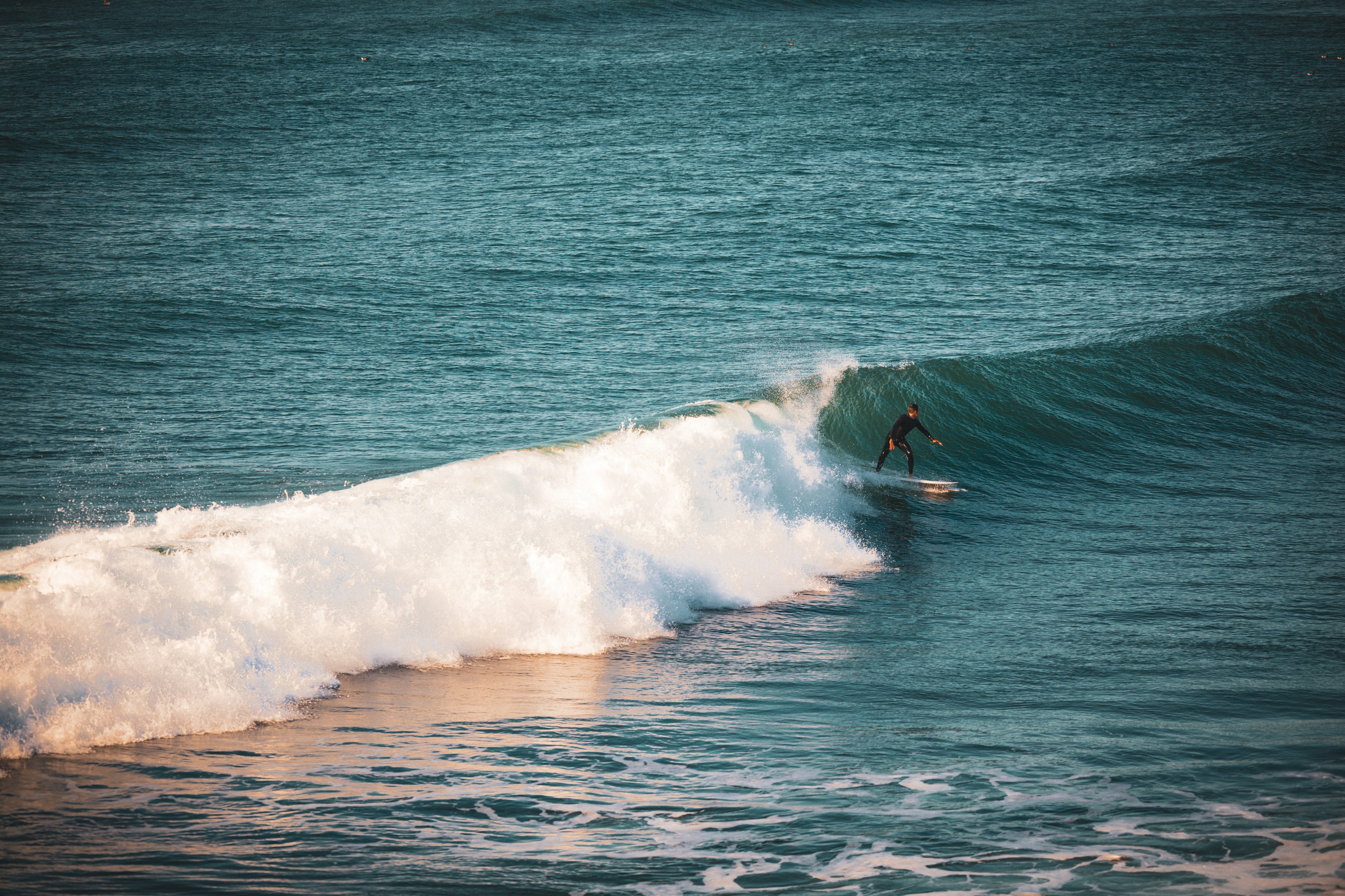 Photo by curatorsofdesign