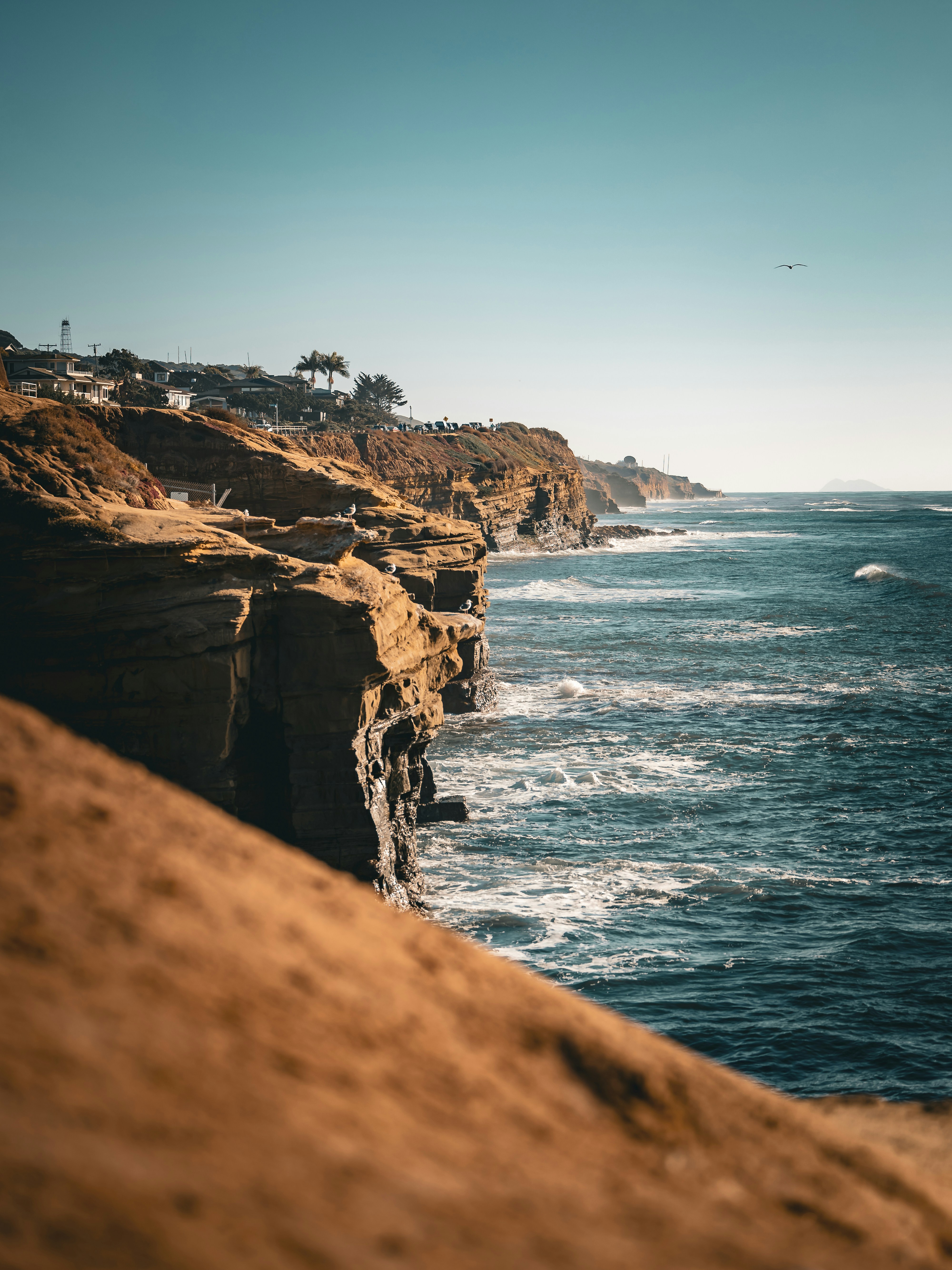 Photo by curatorsofdesign