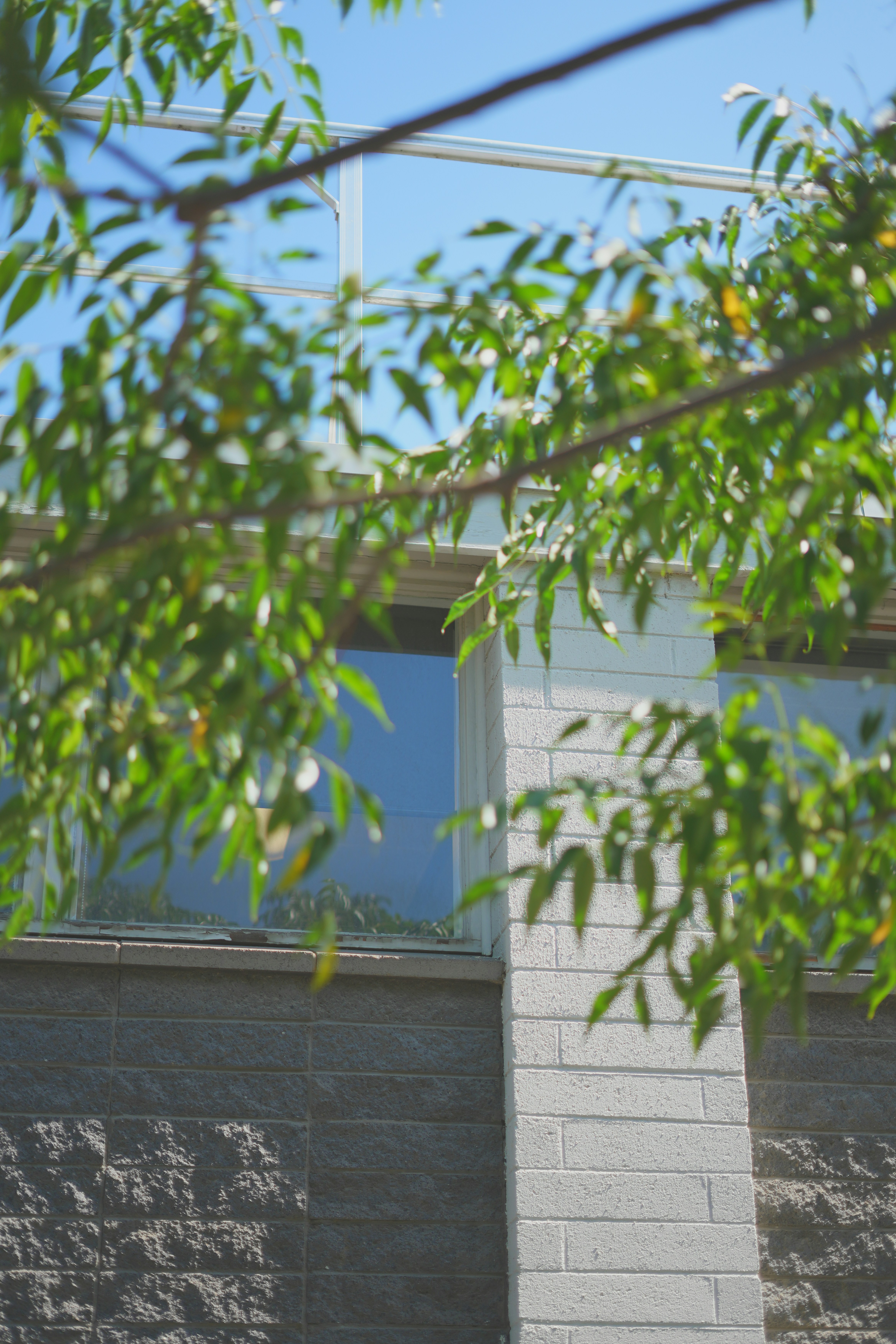 Photo by kphotography