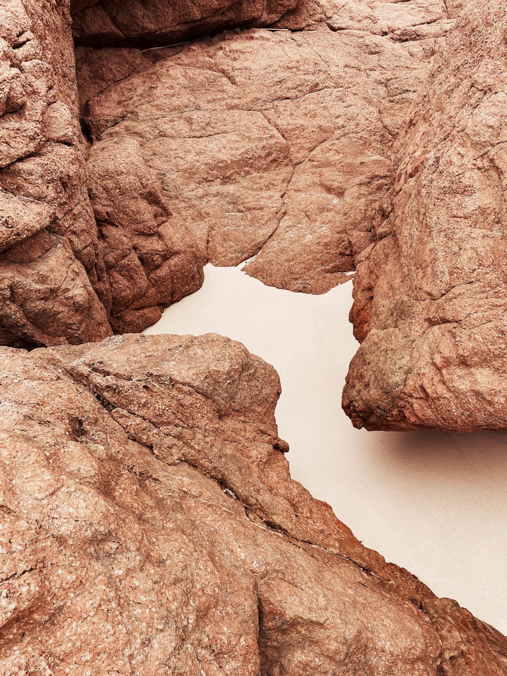 a bird is perched on a rock formation