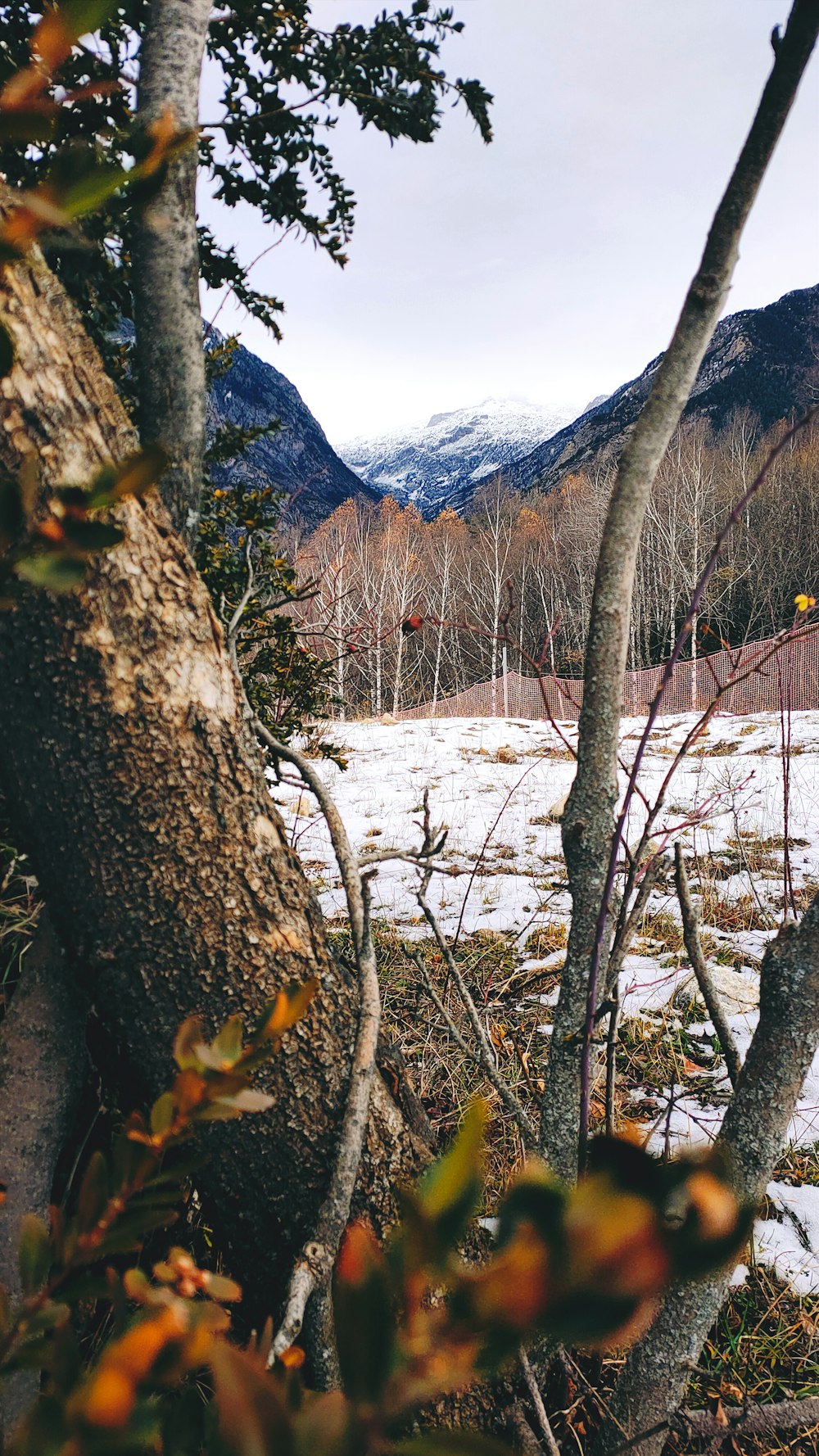 a snow covered field with trees and mountains in the background