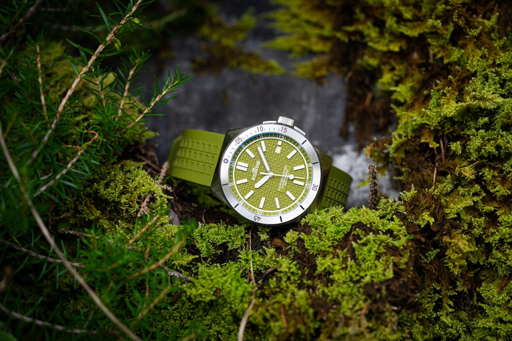 a watch sitting in the middle of a forest