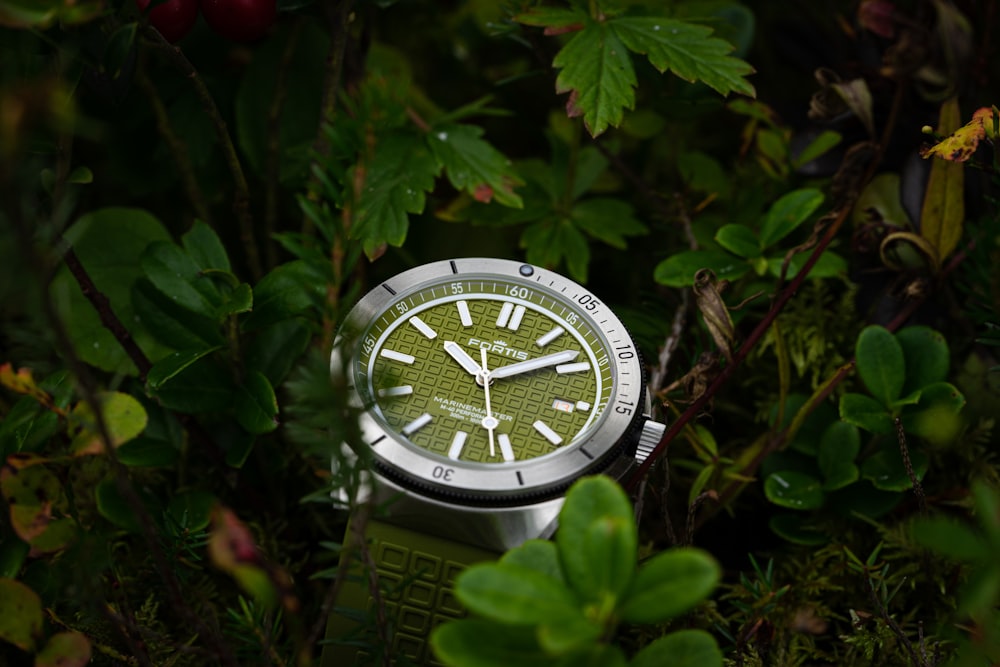a watch sitting in the middle of a bush