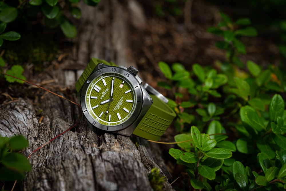 a watch sitting on top of a tree stump