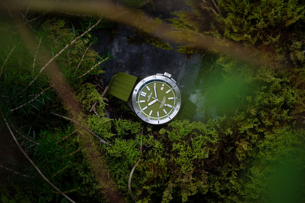 a watch sitting on top of a lush green forest