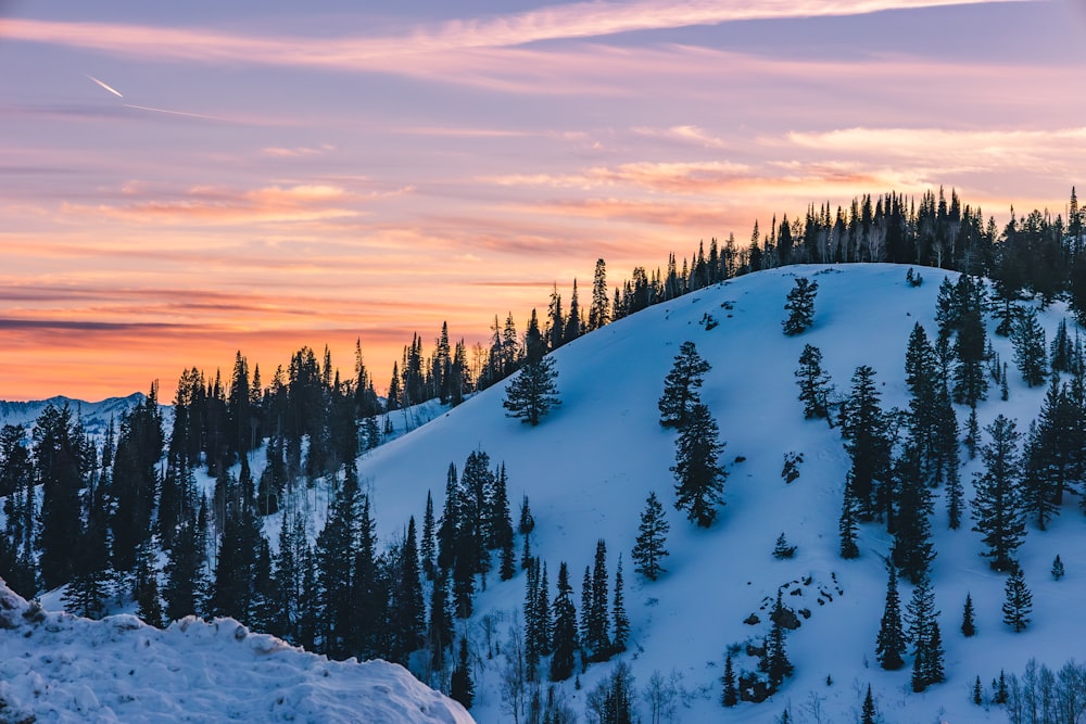 a mountain covered in snow with trees in the background